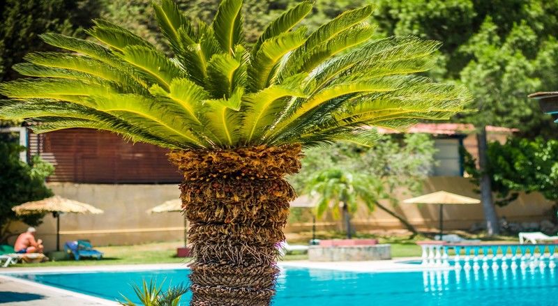 Achousa Hotel Фалираки Экстерьер фото
